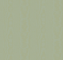 Loymina Classic II V5 005/1